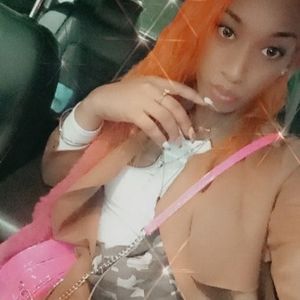 Meet your Posher, Terry